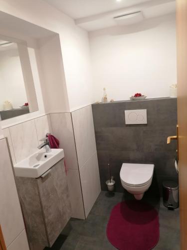 a bathroom with a toilet and a sink at Hänsler's Hof in Arzl im Pitztal