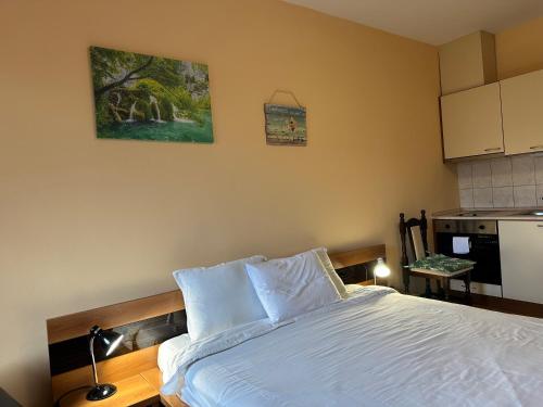 a bedroom with a bed and a kitchen at Studio in Hotel Flora Borovets in Borovets