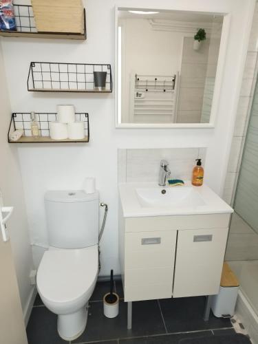 une salle de bain avec toilettes et lavabo dans l'établissement Disney grand F2 dans maison terrasse privée, à Bouleurs
