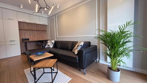 Exclusive Center Apartment Free Parking by CityBeat