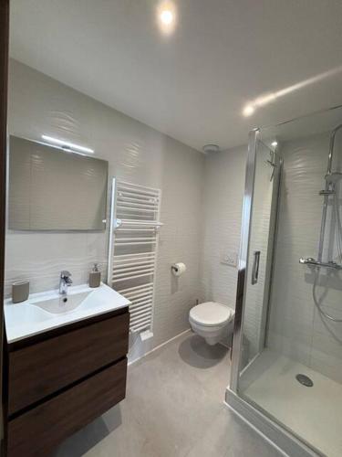 une salle de bain avec toilettes, lavabo et douche dans l'établissement Le 19 Saint Priest en Jarez T1, à Saint-Priest-en-Jarez