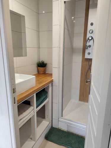 une salle de bain avec un lavabo et une douche dans l'établissement Studio plein centre, à Aix-en-Provence