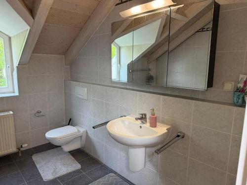 a bathroom with a sink and a toilet and a mirror at Natur pur! in Nieder-Olm