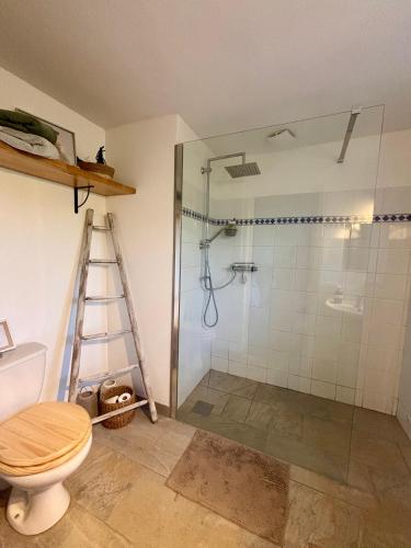 La salle de bains est pourvue d'une douche, de toilettes et d'une échelle. dans l'établissement Le petit chalus, à Forcalquier