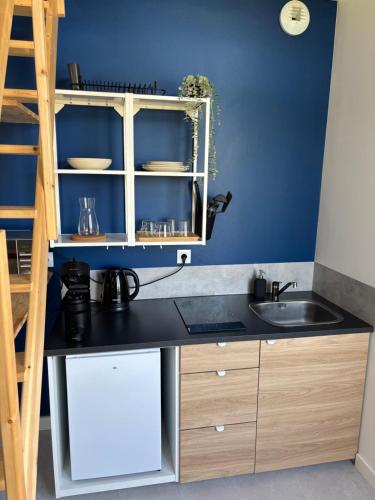 - une cuisine avec un évier et un mur bleu dans l'établissement Le 19 Saint Priest en Jarez T1, à Saint-Priest-en-Jarez