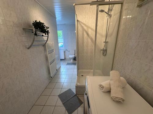 une salle de bains avec douche, toilettes et lavabo dans l'établissement Eickhof Ferienhaus 200qm - Ferienhof Günter - bis 8 Personen - familienfreundlich, à Warnow