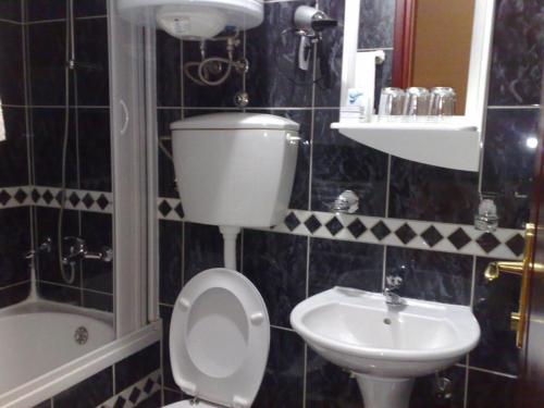 ein Bad mit einem WC und einem Waschbecken in der Unterkunft Private accommodation Lidija Rakočević in Kolašin