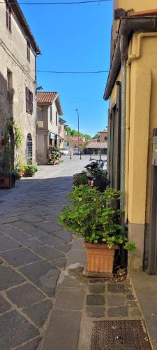 a plant in a pot on the side of a street at Casa San Rocco in Bolsena