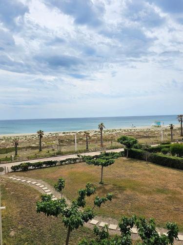 une vue sur une plage avec des palmiers et l'océan dans l'établissement T2 vue mer Le Barcares, au Barcarès