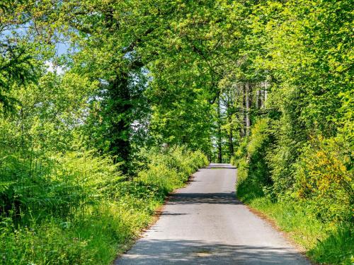 a dirt road with trees on both sides at 2 Bed in Barnstaple 89950 in High Bickington