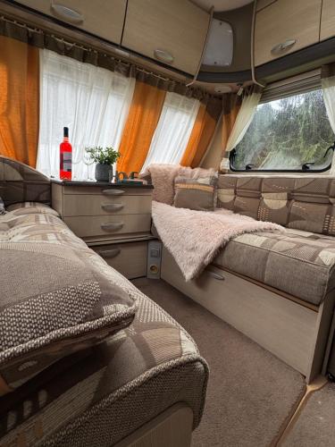 Postel nebo postele na pokoji v ubytování Apusenia Caravan Escape Padiș - Glăvoi