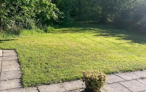 FårvangにあるStunning Home In Fårvang With Wifiの真ん中に鉢植えの植物がある草原
