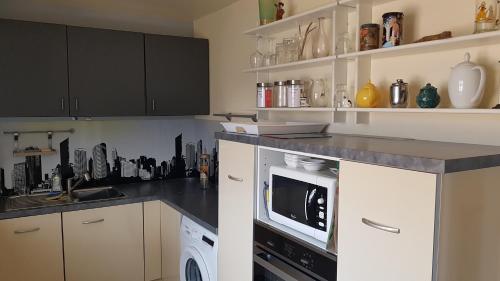 une cuisine avec un comptoir avec un micro-ondes dans l'établissement AVIGNON hyper centre calme, à Avignon