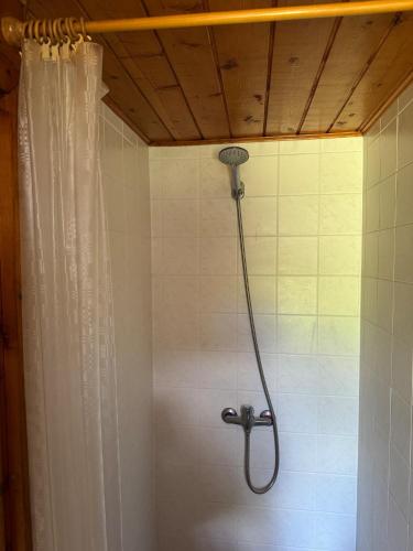 a shower in a bathroom with a shower curtain at Chata Olšovka in Jedovnice