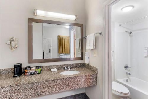 a bathroom with a sink and a toilet and a mirror at Red Roof Inn Atlanta - Kennesaw State University in Kennesaw