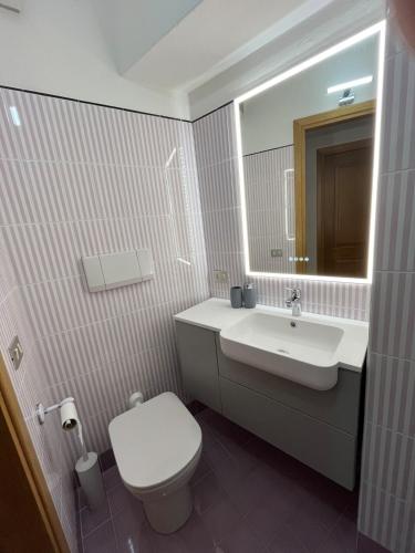 un bagno con un water, un lavandino e uno specchio di Appartamento Sirio ad Asiago