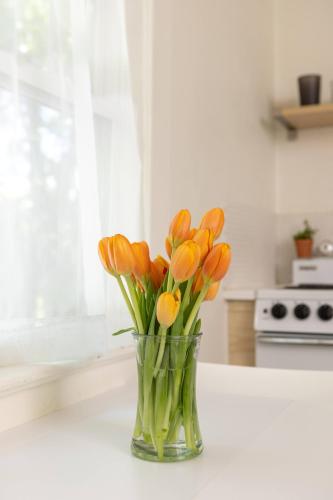 a vase of orange tulips sitting on a kitchen counter at Its Back Historic Flat in Downtown Boise in Boise