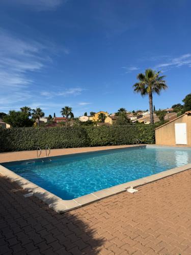 une grande piscine bleue avec un palmier dans l'établissement Charming mini-villa, à Sanary-sur-Mer