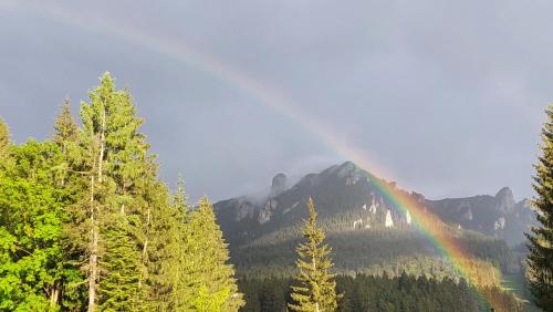 Ảnh trong thư viện ảnh của Pensiunea Montan ở Durau