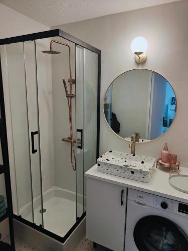 une salle de bain avec une douche, un lavabo et un miroir dans l'établissement Beau T3 au calme près gare, mer et centre ville, à Antibes