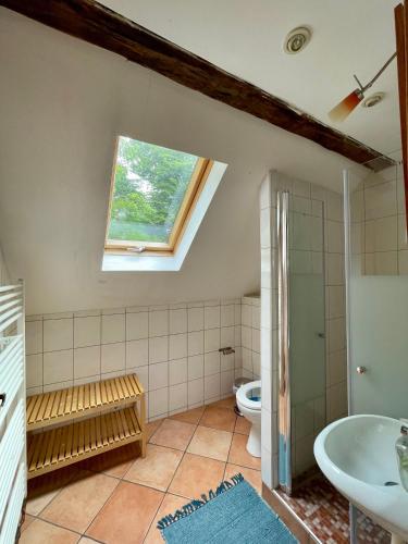 a bathroom with a toilet and a sink at Ferienhaus-Elisabeth Bungalow-Tom Bungalow-Peter in Reinhardtsdorf
