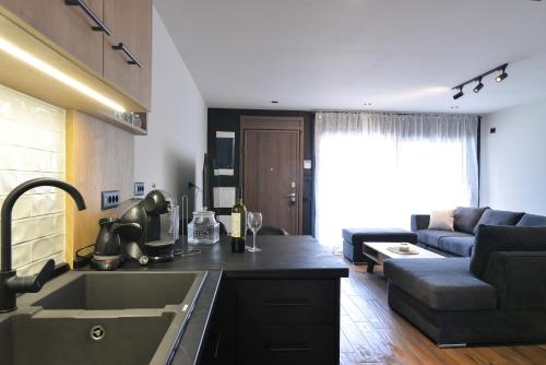 cocina con fregadero y sala de estar con sofá en Felina Apartments, en Leptokarya