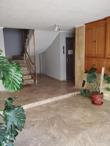 an empty living room with stairs and potted plants at Dim-Paul in Artemida