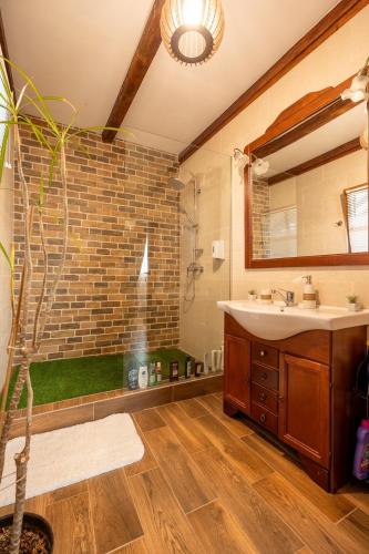 a bathroom with a sink and a large mirror at La Mosie-Ruda in Ruda