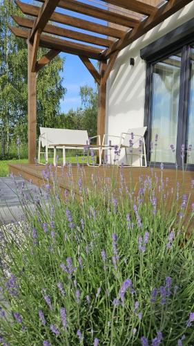a patio with a bench and purple flowers at Osada Mech i Fale in Tarnobrzeg