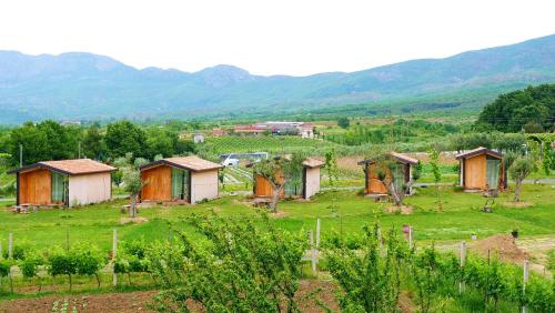 a group of small houses in a field with mountains at Fishta Guesthouse - Mrizi i Zanave in Fishtë