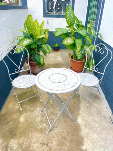 two chairs and a table and some plants at Casa Pereira 5 in Ponta do Pargo