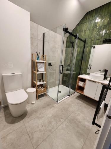 a bathroom with a shower and a toilet and a sink at Million dollar view in Queenstown