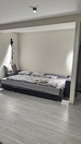 a bedroom with a large bed in a room at Air-Moldova Family in Chişinău