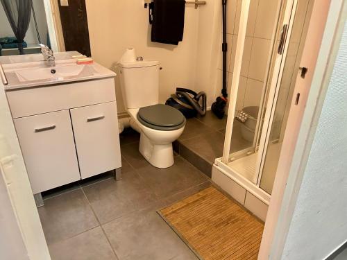 une salle de bain avec toilettes, lavabo et douche dans l'établissement Studio proche centre, gare et écoles, à Valence