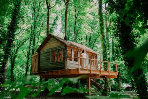 La Cabane de La Tortillère