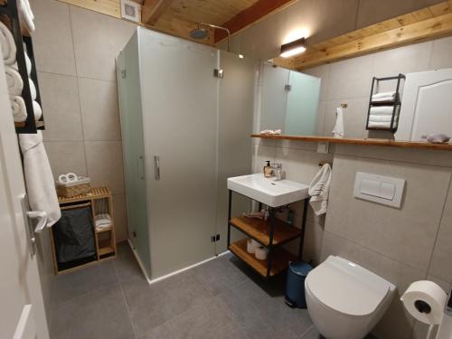 a bathroom with a toilet and a sink and a shower at Wooden Villa Old Oak Plitvice Lakes in Seliste Dreznicko