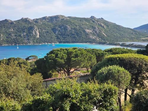 Elle offre une vue sur un lac avec des arbres et des montagnes. dans l'établissement Mini villa Paesolu, à Porto-Vecchio