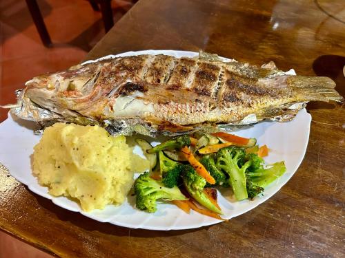 a fish on a plate with broccoli and mashed potatoes at Hotel Tranquilo in Las Peñitas