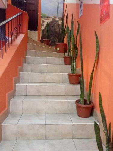 Quito'daki HOSTAL CALIFORNIA tesisine ait fotoğraf galerisinden bir görsel
