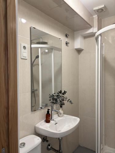 a bathroom with a sink and a mirror and a toilet at Lar Atlántica in Vigo