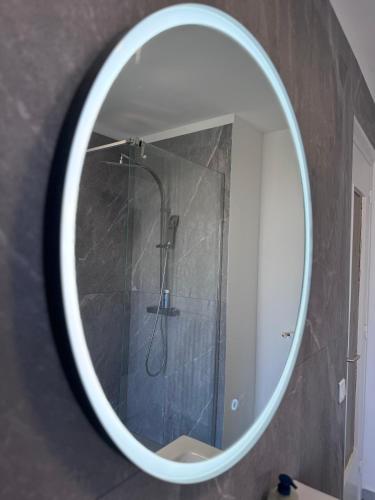 La salle de bains est pourvue d'un miroir et d'une douche. dans l'établissement Appartement proche Monaco, à Roquebrune-Cap-Martin