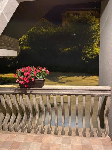 a pot of pink flowers sitting on a railing at Lejna Guest House in Plav