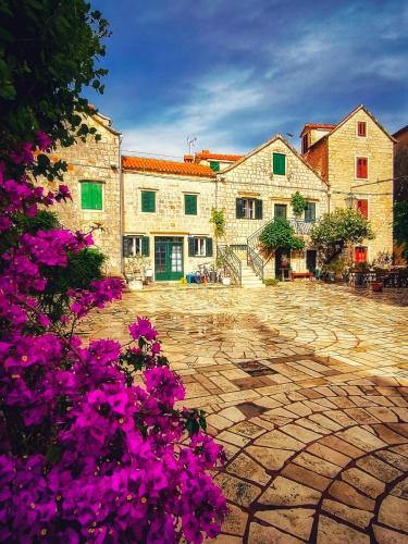 a group of buildings with purple flowers in a courtyard at Studio apartman Škor in Stari Grad