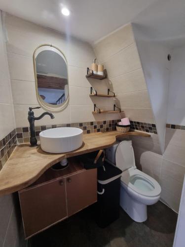 une salle de bain avec un lavabo et un miroir et des toilettes dans l'établissement App'Art, à La Ciotat