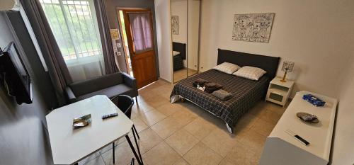 Très grand studio meublé - Juan les Pins - Logt4