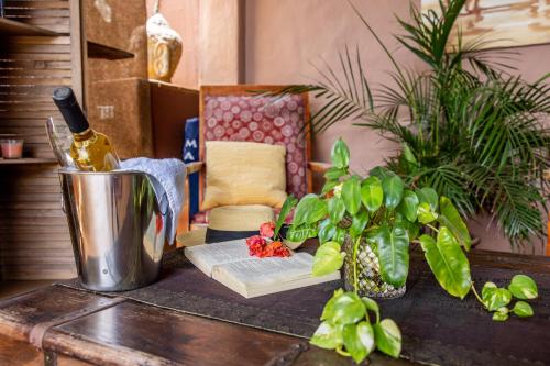 a table with a bottle of wine and a plant at Casita Tres Trapi in Noord