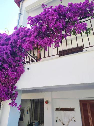 Summer place Pefkohori