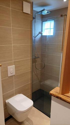 La salle de bains est pourvue d'une douche, de toilettes et d'une douche en verre. dans l'établissement Casa Ozeana, à Biarritz