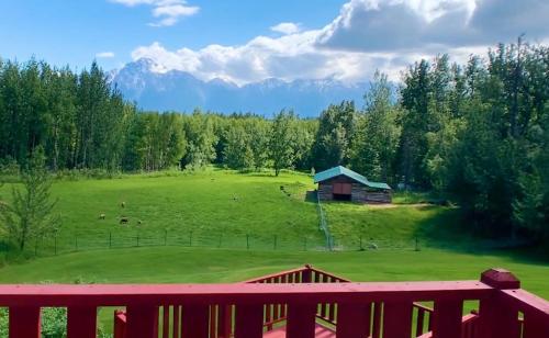 a large field with a barn and animals in the grass at Alaska's Harvest Bed and Breakfast and Luxury Log Cabin in Palmer