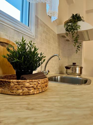 a kitchen counter with a sink and a basket of plants at Physis Seaside Living in Preveza